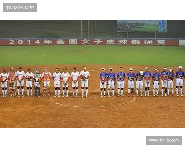 中国台协与垒协合并方案提交拟建立棒垒球运动管理中心推进发展新篇章